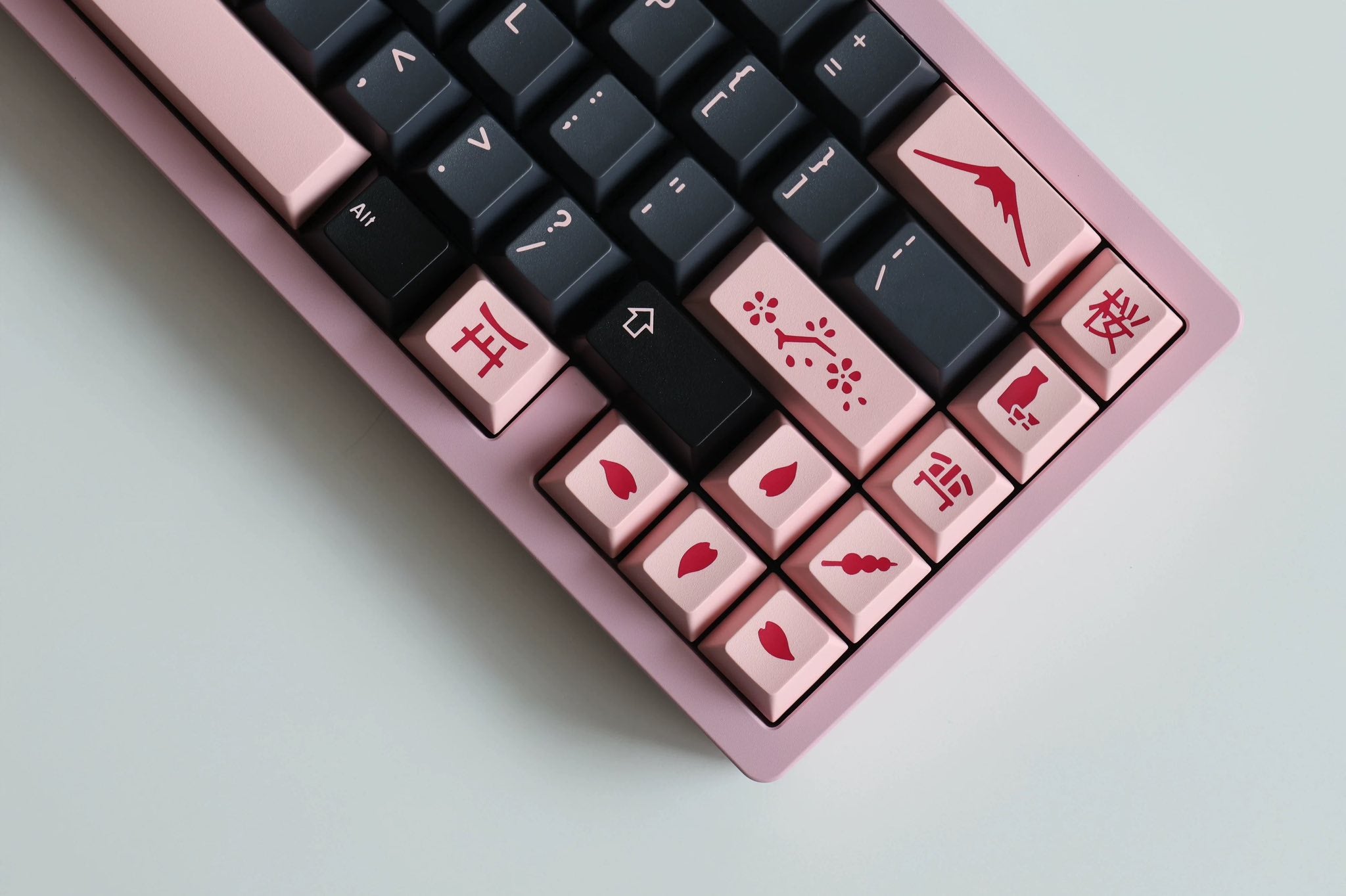 [Pre Venta] JTK Night Sakura R2 ANSI & ISO