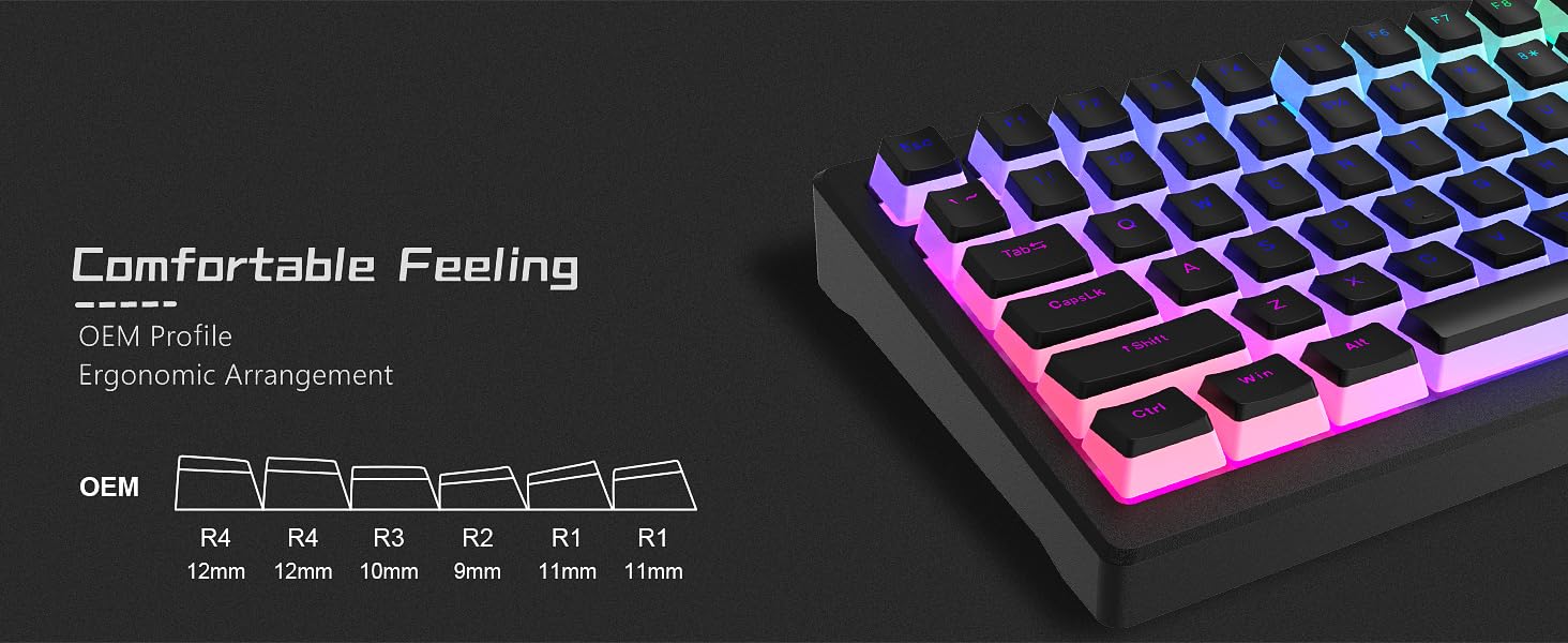 Black Pudding PBT Backlit ANSI