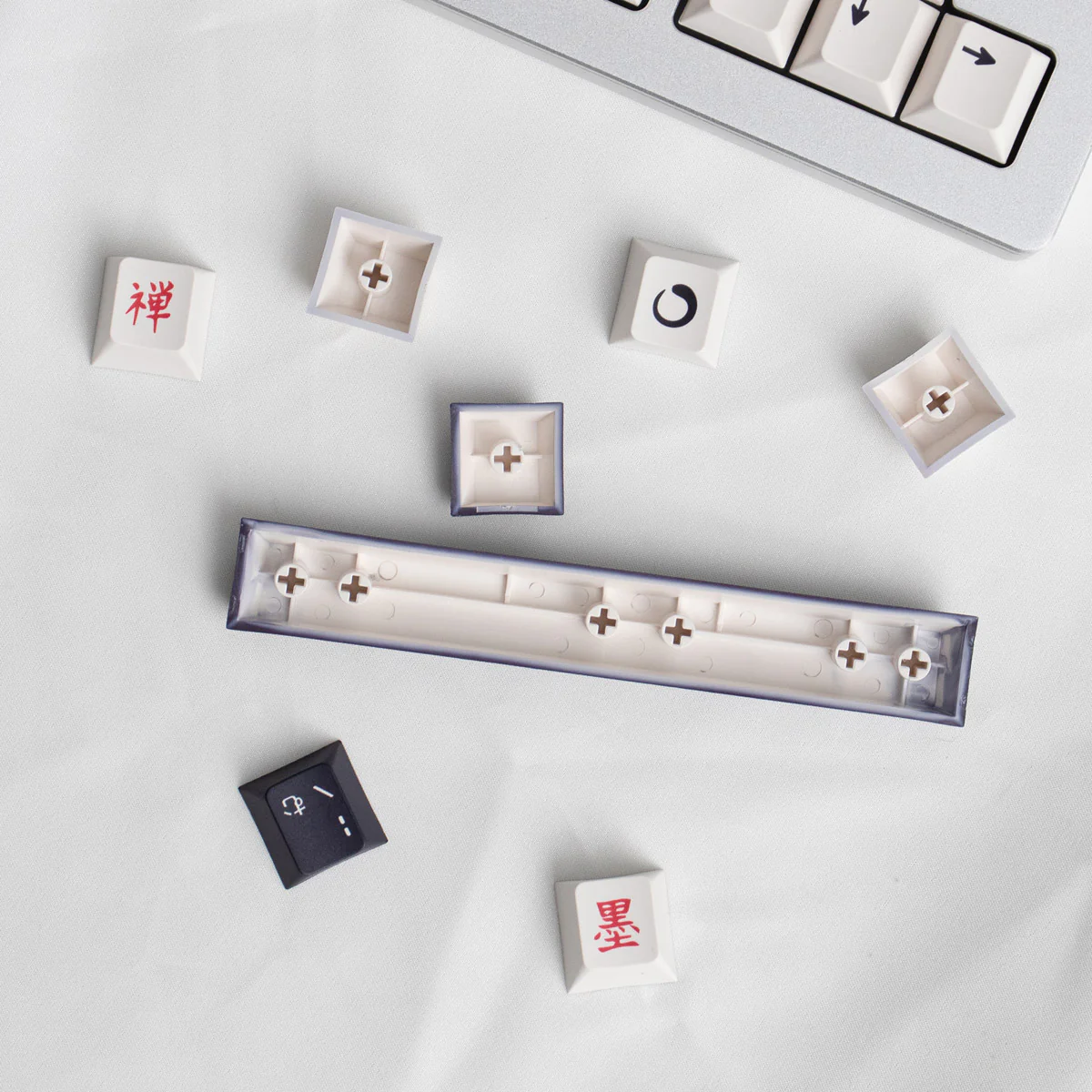 Nami PBT ANSI