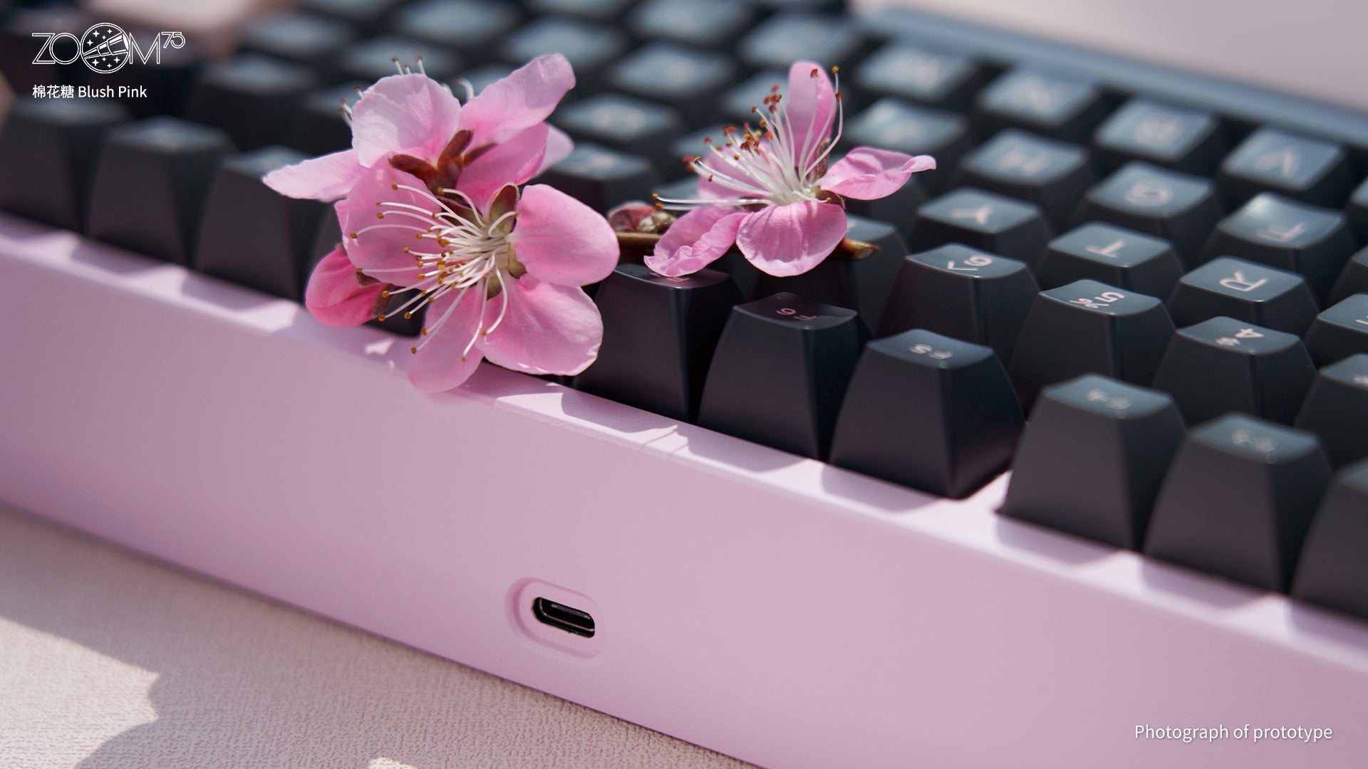 [Preventa] Meletrix Zoom75 Essential Edition (EE) - Barebones Keyboard Kit - Blush Pink