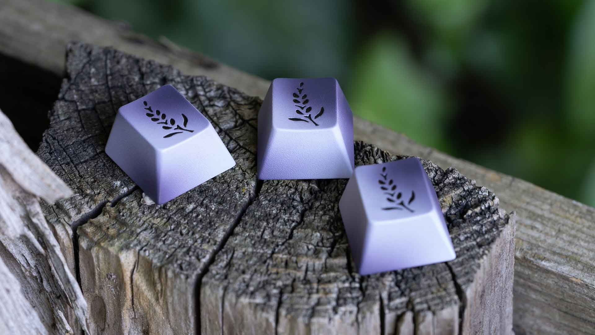 GMK Lavender X Salvun Keycap