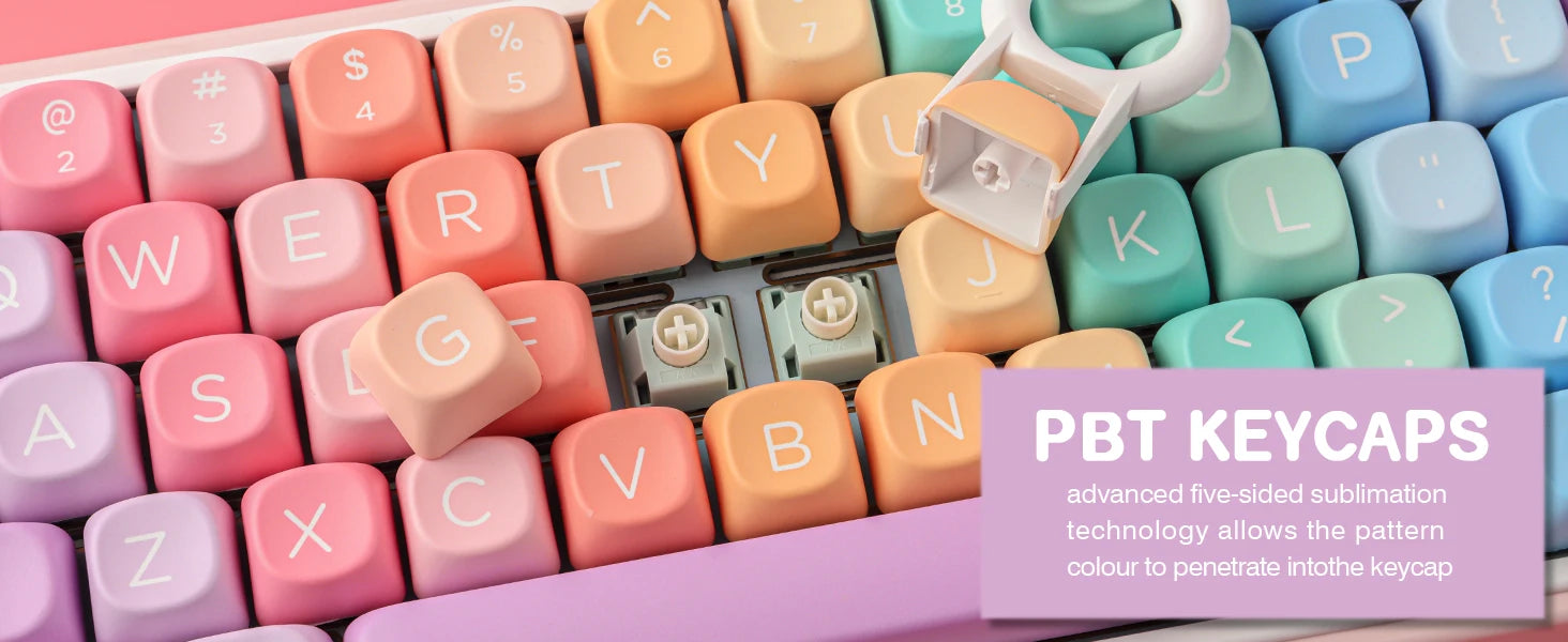 Gummy MOA PBT ANSI