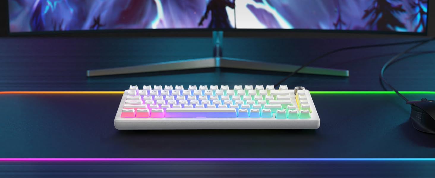 White Pudding PBT Backlit ANSI