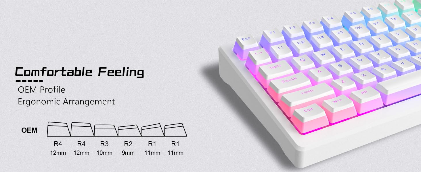 White Pudding PBT Backlit ANSI