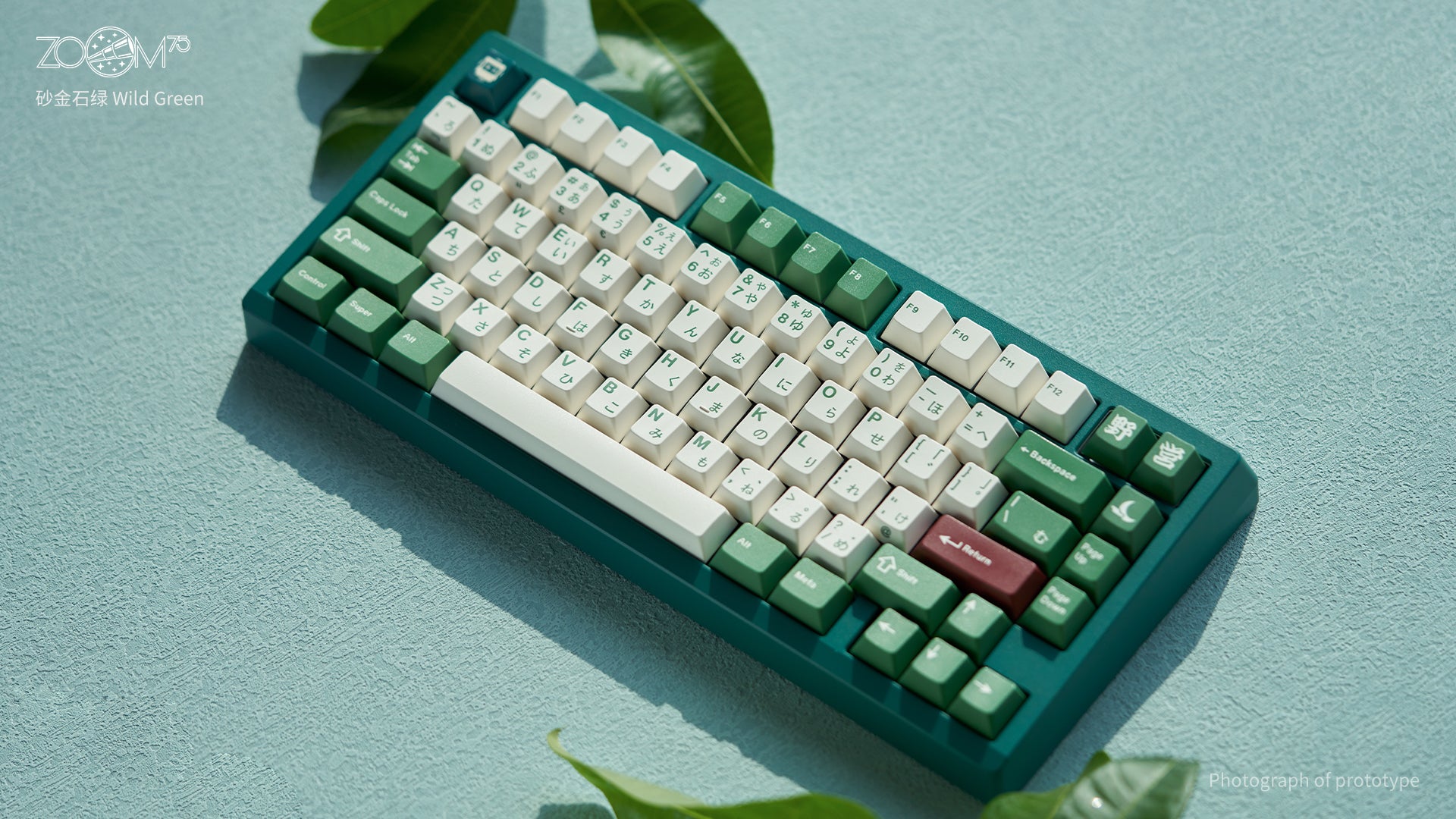 Zoom 75 EE